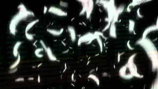 Shooting Star (Album mix)