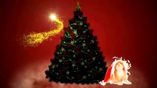 AVI Christmas Message
