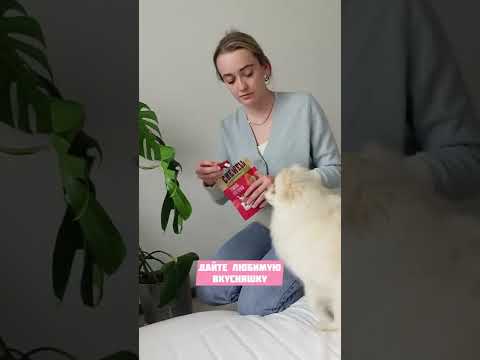 КАК УЛОЖИТЬ СОБАКУ СПАТЬ😴