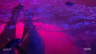 [FREE] Dark R&amp;B Type Beat - "Tenebra" | 2026