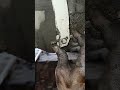 #sitting #fitting #modified #method #repair #automobile #automotivetools #ytshorts #mention #tips #y