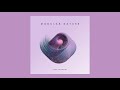 Luca Francini - Modular Nature (Promo)