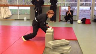 Taekwondo Brick Break