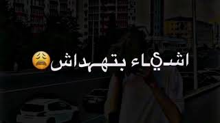 ضجيج || كرم شريدة 