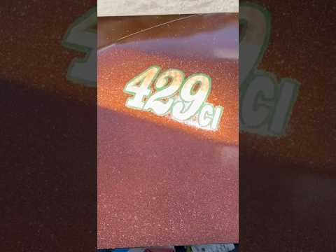 Metal flake and gold leaf for my 1966 Fairlane Gasser #hotrod #cars #custompaint