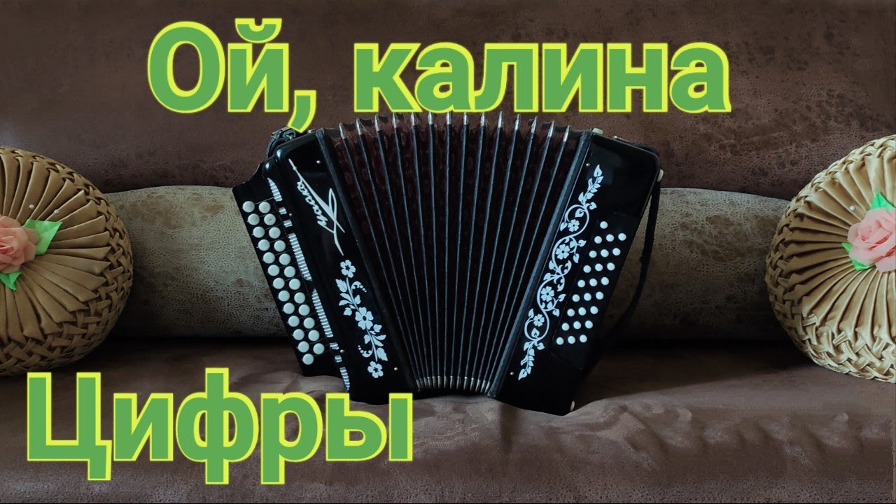 Калина модель цифры