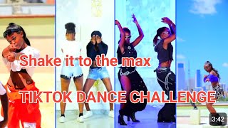 Shake It To The Max Viral Tiktok Dance Challenge By Moliy & Silent Addy