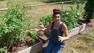Fall Harvesting with Danielle | Gro-Town | Great Lakes Ace Hardware