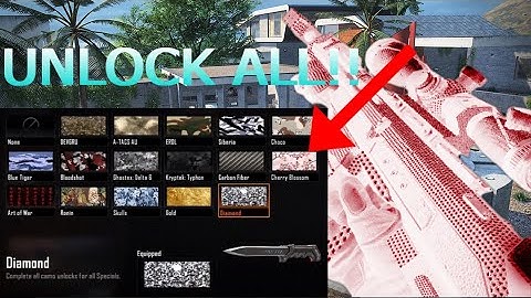 How To Get UNLOCK ALL TOOL Black Ops 2 2024