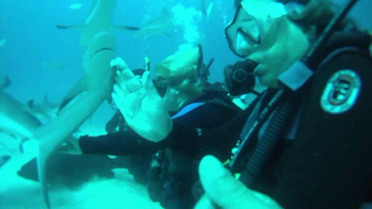 FREEPORT BAHAMAS SHARK DIVING YouTube