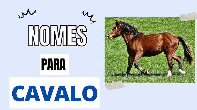 180 nomes para cavalos - Nomes Criativos