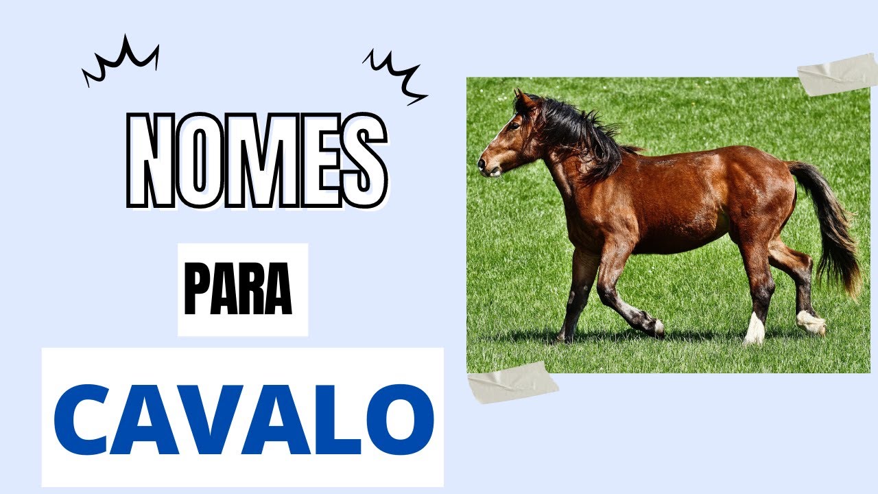 Nomes Para Cavalo Fêmea - RETOEDU
