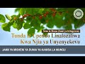Tunda La Upendo Linalozaliwa Kwa Njia Ya Unyenyekevu Jmdklm Kanisa La Mungu 