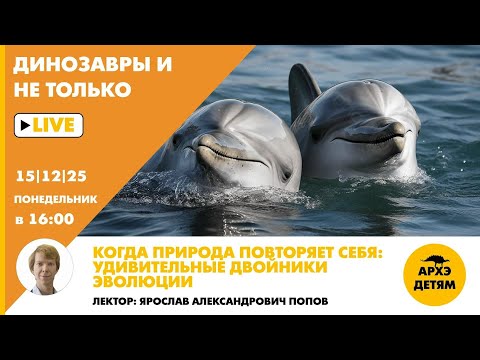 Маленькие зелененькие человечки | Космические убийцы | Discovery