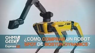 How can I BUY a BOSTON DYNAMICS SPOT robot? 🤖