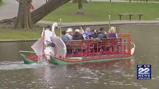 Boston swan boats return to service
