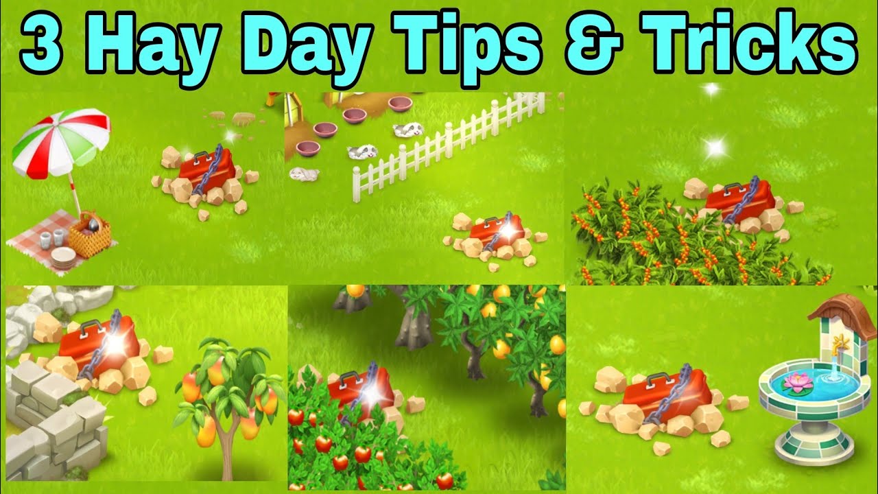 new-3-hay-day-tips-and-tricks-that-you-should-follow-in-2024-youtube