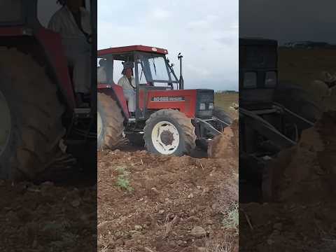 وباه ومناصف عبدالله ال سهل