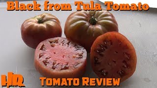 ⟹ BLACK FROM TULA TOMATO | Solanum lycopersicum | Tomato Review