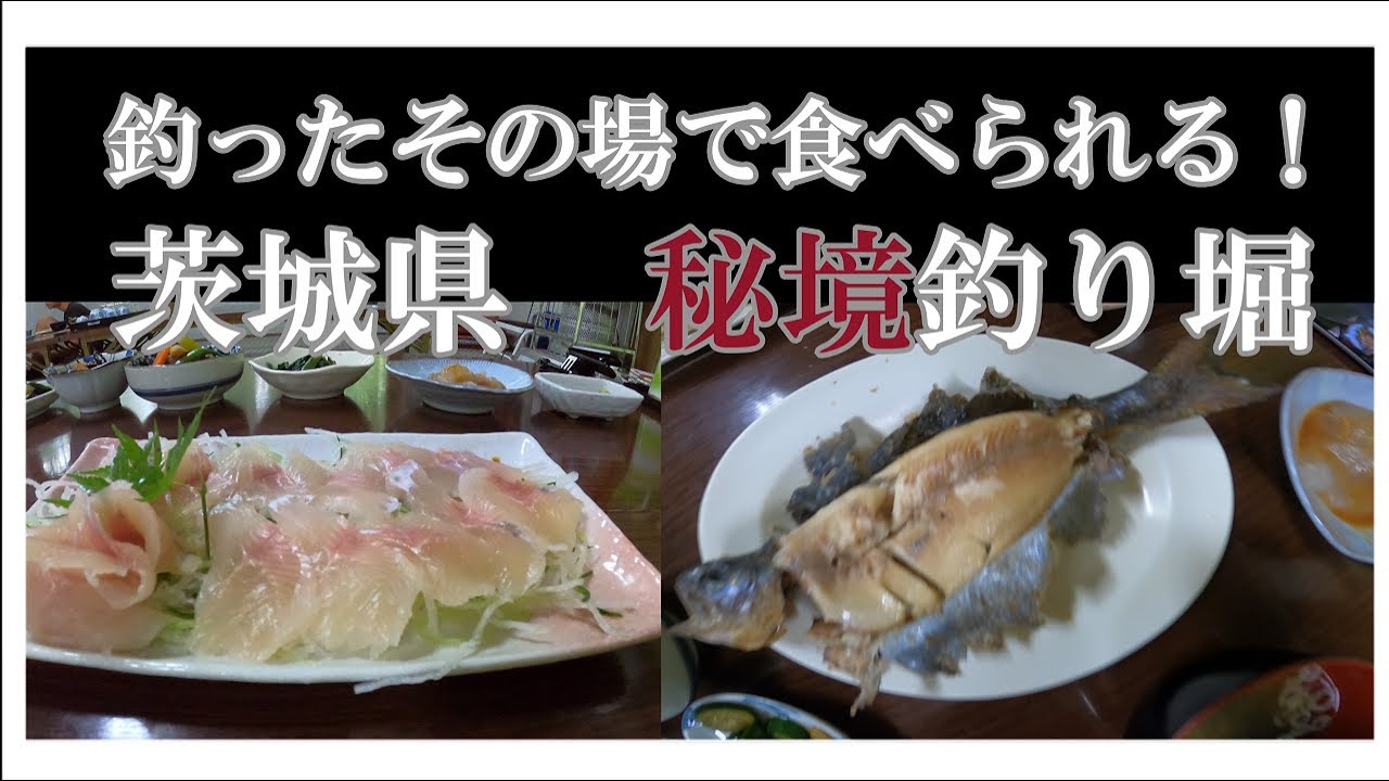 茨城県 大子 ニジマスを美味しくいただきました 自然を満喫できる釣り堀 後編 Youtube 茨城県 大子 ニジマスを美味しくいただきました 自然を満喫できる釣り堀 後編 Youtube