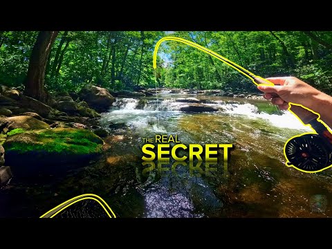 Fly Fishing Got A LOT EASIER When I Figured This Out...