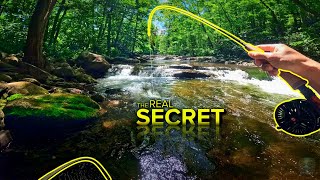 Fly Fishing Got WAY EASIER When I Figured This Out...