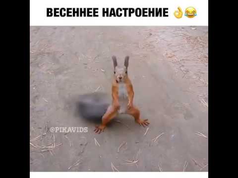 Весна пришла