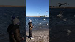 IMG 5362