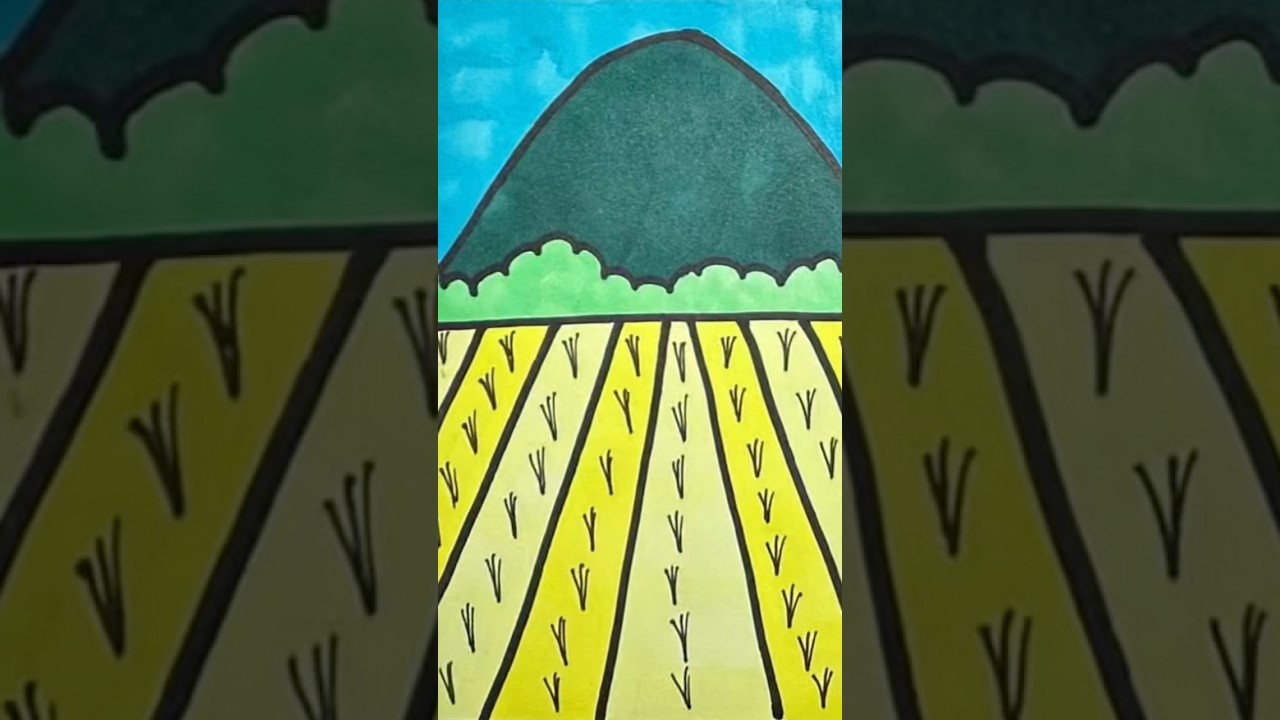 How to draw a rice field landscape 