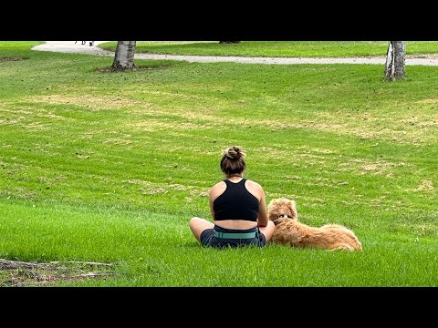 SLO S Best Kept Secret Meadow Park A Perfect Day In San Luis Obispo 