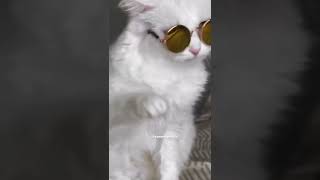 Arka Plan Vi̇deolari Veri̇om Part 2 ?