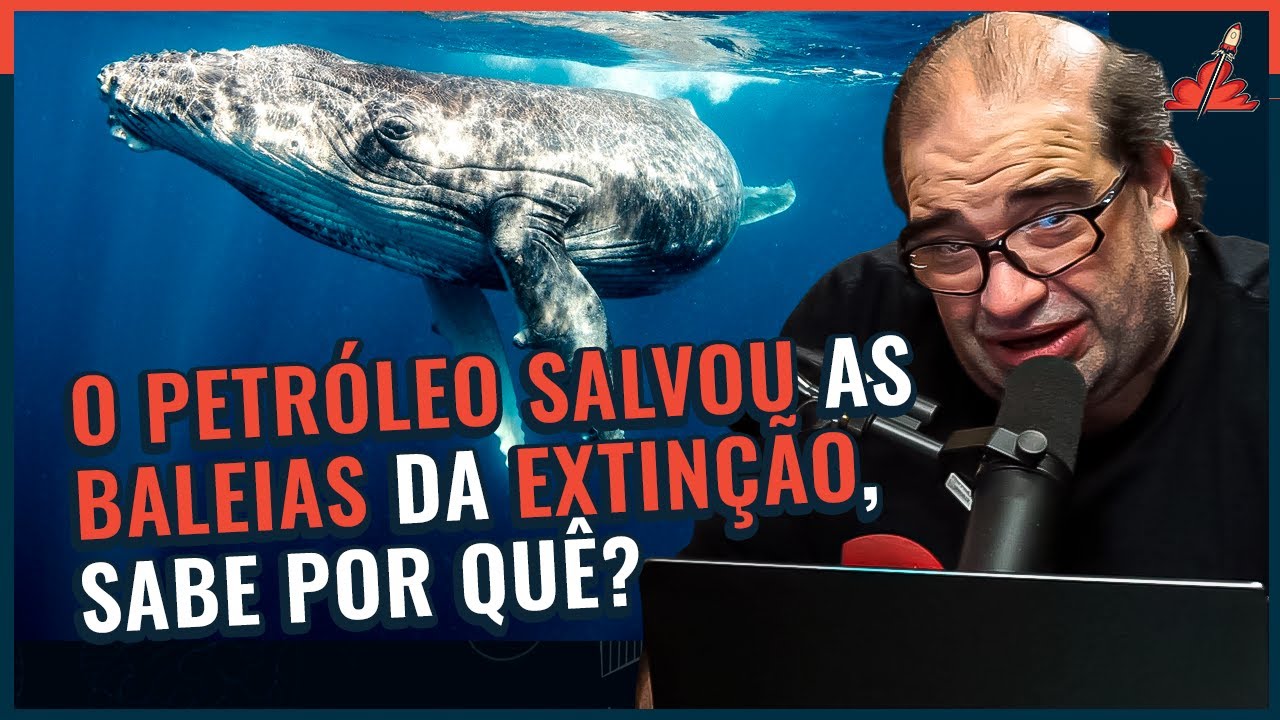 ESSA HISTÓRIA VAI MUDAR SUA VISÃO sobre O PETRÓLEO