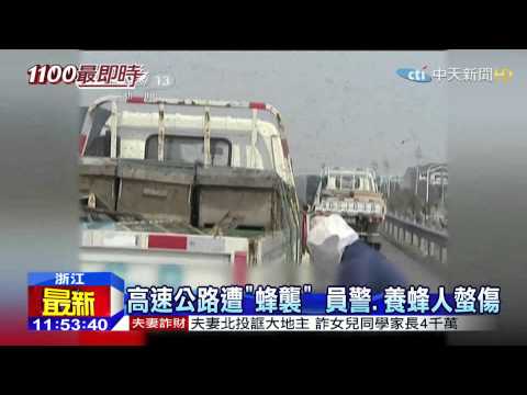 20150314中天新聞　養蜂車側翻　500萬隻蜜蜂漫天飛舞
