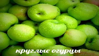 ТРЕНЕРОВКА 5 ДИГИТА В ОСУ