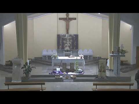 Domenica delle Palme