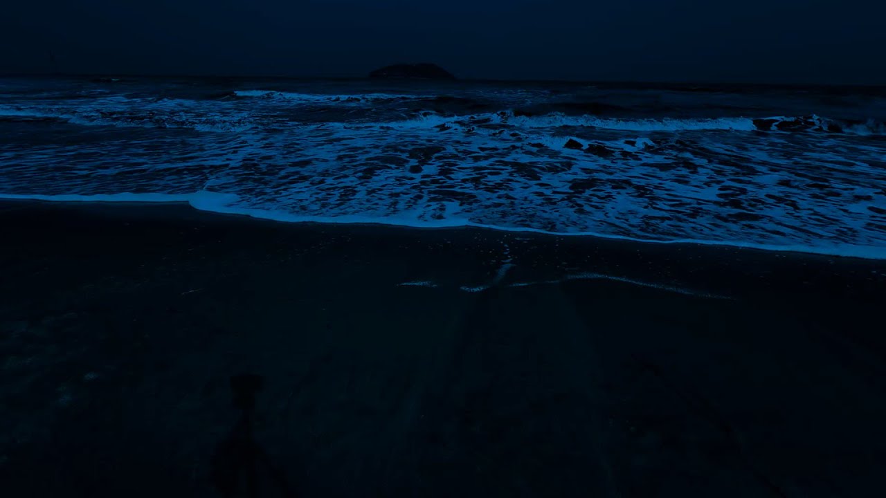 Stress Relief & Deep Sleep With Ocean Sounds at Night - Dark Screen And Rolling Waves for Relaxing