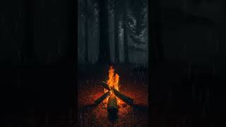 Rainy campfire glowing on the forest floor at night 🔥🌧️