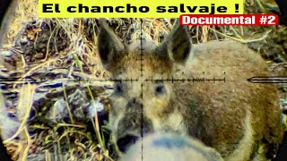DOCUMENTAL de CAZA #2 | CHANCHO SALVAJE screenshot 3