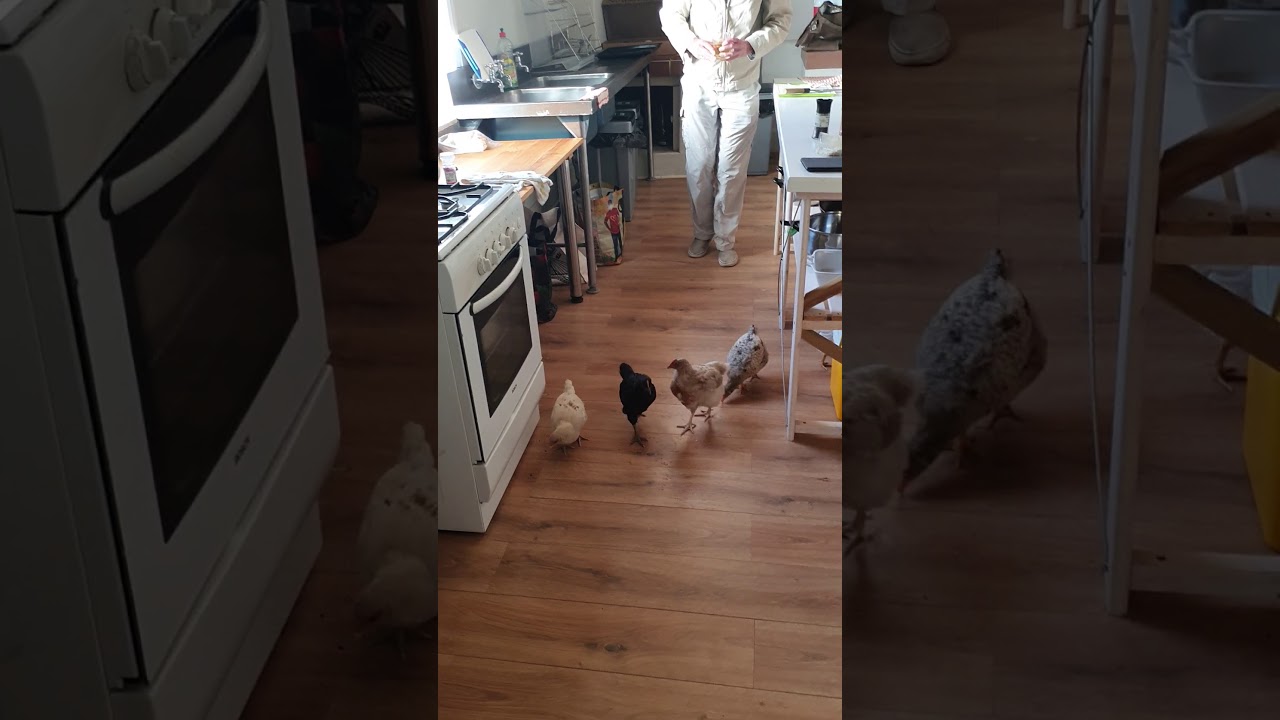 A La Ada My Life In Words