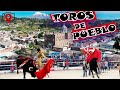 Toros de pueblo - Corrida Taurina  |Fiestas de Calpi 2019|