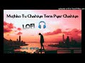 Mujhko Tu Chahiye Tera Pyar Chahiye Lofi Song || slowed+reverb+bass boosted lofi song | lofi special Mp3 Song