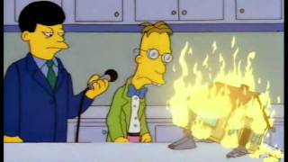 Professor Frink Home Security
