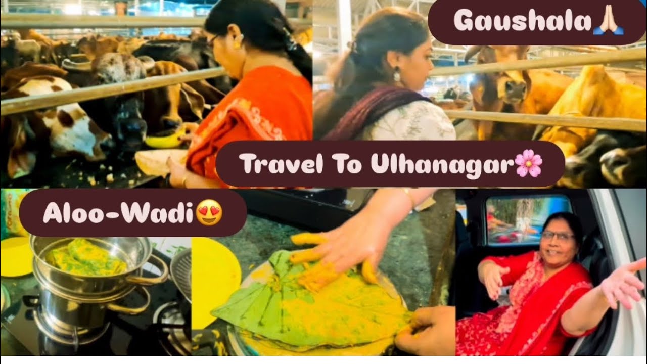 Travelling to Ulhanaga/ Alu-Wadi/ Bread Pakoda/ Gaushala/ Sev-Puri/ Family Meet🩷 @JViena19 😎