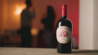 HOMEMADE CINEMATIC WINE AD