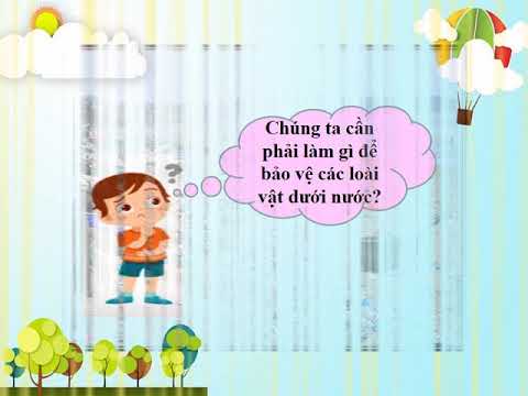 LTVC Lớp 2 Tuần 26 Từ ngữ về sông biển Dấu phẩy