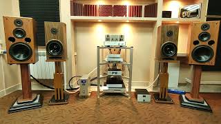 Line Magnetic LM-218 ia + Musician Aquarius R2R DAC (1)