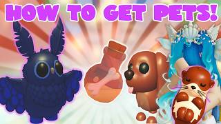How to Get Stygian Owl & Bone in the Bottle! | Adopt Me Summer Camp Week 2 Roblox | Riivv3r