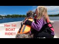 Our Mini Golden Doodle goes on her 1st BOAT RIDE and amusement park FUN!