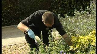 Download Lagu Murder of Lloyd Fouracre MP3