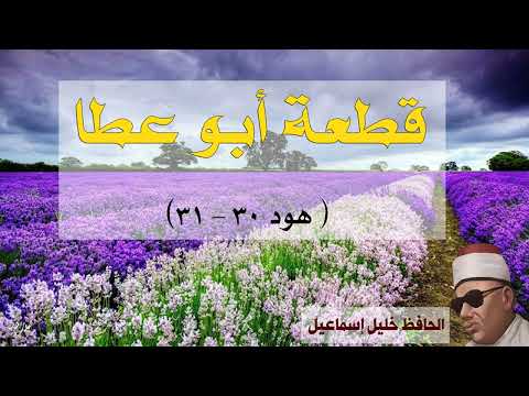 قطعة أبو عطا هود 30 31 الحافظ خليل إسماعيل